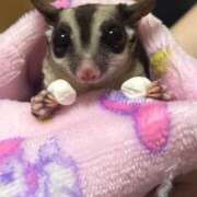 ヒメ日記 2025/07/15 18:38 投稿 ちかさん いけない奥さん 十三店