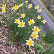 ヒメ日記 2026/03/30 10:48 投稿 ちかさん いけない奥さん 十三店