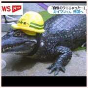 ヒメ日記 2025/01/19 13:00 投稿 ゆりさん いけない奥さん 十三店