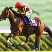 ヒメ日記 2025/04/28 00:29 投稿 まりあさん いけない奥さん 十三店