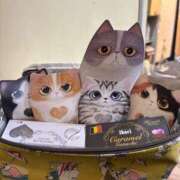 ヒメ日記 2025/05/03 12:58 投稿 まりあさん いけない奥さん 十三店