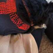 ヒメ日記 2025/06/02 08:28 投稿 まりあさん いけない奥さん 十三店