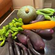 ヒメ日記 2025/08/03 11:54 投稿 まりあさん いけない奥さん 十三店