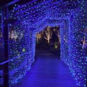 ひめかさん 本日の御礼 いけない奥さん 十三店