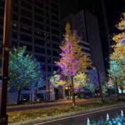 ひめかさん 本日の御礼 いけない奥さん 十三店