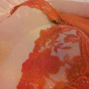 ヒメ日記 2024/12/25 17:10 投稿 ことみ かぐや本舗