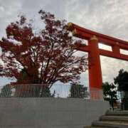 ヒメ日記 2025/11/15 22:15 投稿 クミ 京都人妻デリヘル倶楽部