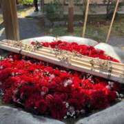 ヒメ日記 2025/12/09 12:46 投稿 クミ 京都人妻デリヘル倶楽部