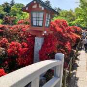 ヒメ日記 2026/04/25 10:08 投稿 クミ 京都人妻デリヘル倶楽部