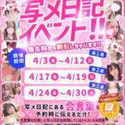 ヒメ日記 2026/04/27 09:38 投稿 クミ 京都人妻デリヘル倶楽部