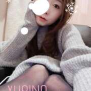 ヒメ日記 2026/02/17 03:40 投稿 ユリノ 京都人妻デリヘル倶楽部