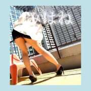 ヒメ日記 2026/08/07 10:06 投稿 美羽(みはね) 人妻出逢い会 百合の園 山の手本店