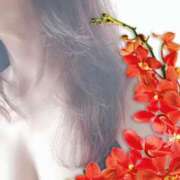 ヒメ日記 2025/06/14 09:33 投稿 リリコ 京都デリヘル倶楽部FIRST