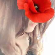 ヒメ日記 2025/07/14 09:33 投稿 リリコ 京都デリヘル倶楽部FIRST