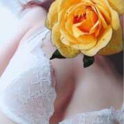 ヒメ日記 2025/12/28 09:45 投稿 リリコ 京都デリヘル倶楽部FIRST