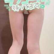 ヒメ日記 2026/03/15 09:43 投稿 マヤ 京都デリヘル倶楽部FIRST