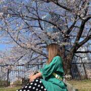 ヒメ日記 2025/04/08 16:12 投稿 サヨ 京都デリヘル倶楽部FIRST