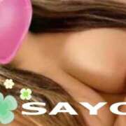 ヒメ日記 2025/05/03 13:42 投稿 サヨ 京都デリヘル倶楽部FIRST