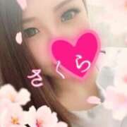 サクラ ラスト枠〜 京都人妻デリヘル倶楽部