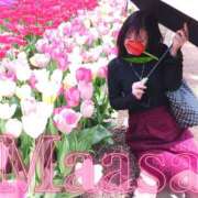 ヒメ日記 2025/04/18 18:52 投稿 真麻-maasa- 京都人妻デリヘル倶楽部