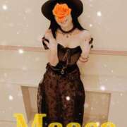 真麻-maasa- ♪出勤しました♪ 京都人妻デリヘル倶楽部