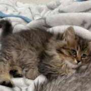 ヒメ日記 2026/04/23 10:32 投稿 りん わちゃわちゃ密着リアルフルーちゅ西船橋