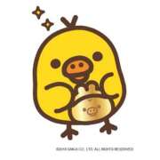 ヒメ日記 2024/12/13 17:12 投稿 ひより 重役室(道後)