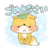 ヒメ日記 2025/08/03 09:34 投稿 ひより 重役室(道後)