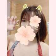 ヒメ日記 2024/12/10 18:45 投稿 はる 重役室(道後)