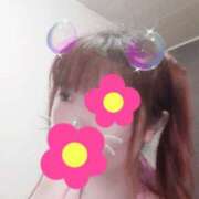 ヒメ日記 2024/12/11 18:48 投稿 はる 重役室(道後)