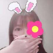 ヒメ日記 2024/12/13 16:56 投稿 はる 重役室(道後)