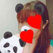 ヒメ日記 2025/01/14 19:13 投稿 はる 重役室(道後)