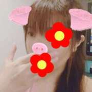 ヒメ日記 2025/01/19 20:31 投稿 はる 重役室(道後)