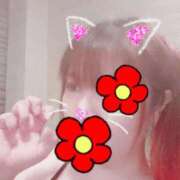 ヒメ日記 2025/02/02 13:18 投稿 はる 重役室(道後)