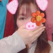 ヒメ日記 2025/02/08 13:14 投稿 はる 重役室(道後)