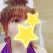 ヒメ日記 2025/02/13 16:55 投稿 はる 重役室(道後)