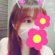 ヒメ日記 2025/02/14 13:28 投稿 はる 重役室(道後)