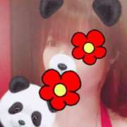 ヒメ日記 2025/02/15 13:18 投稿 はる 重役室(道後)