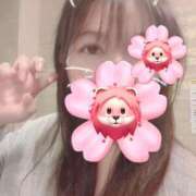 ヒメ日記 2025/02/20 16:05 投稿 はる 重役室(道後)