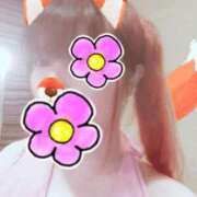 ヒメ日記 2025/02/23 13:00 投稿 はる 重役室(道後)