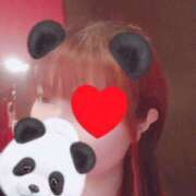 ヒメ日記 2025/03/05 19:01 投稿 はる 重役室(道後)