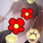 ヒメ日記 2025/04/12 11:18 投稿 はる 重役室(道後)