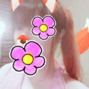 ヒメ日記 2025/04/13 20:36 投稿 はる 重役室(道後)