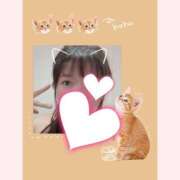 ヒメ日記 2025/04/24 19:40 投稿 はる 重役室(道後)