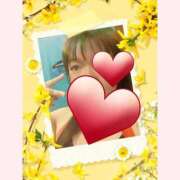 ヒメ日記 2025/04/30 18:52 投稿 はる 重役室(道後)