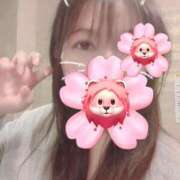 ヒメ日記 2025/05/09 15:54 投稿 はる 重役室(道後)