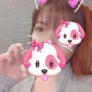 ヒメ日記 2025/07/27 10:59 投稿 はる 重役室(道後)