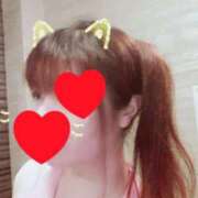 ヒメ日記 2025/07/29 19:32 投稿 はる 重役室(道後)