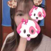 ヒメ日記 2025/10/25 17:54 投稿 はる 重役室(道後)