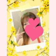 ヒメ日記 2025/10/28 20:03 投稿 はる 重役室(道後)